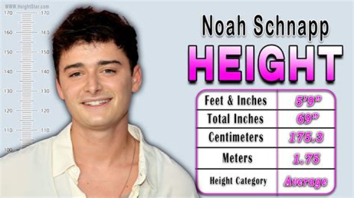 Noah Schnapp Height, Weight, Net Worth, Age, Birthday, Wikipedia, Who, Nationality, Biography
