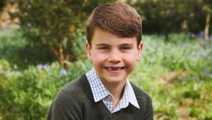 Prince Louis Height, Weight, Net Worth, Age, Birthday, Wikipedia, Who, Nationality, Biography
