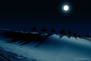 The Responsibility Of The King