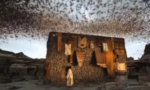 The House Has A Lord