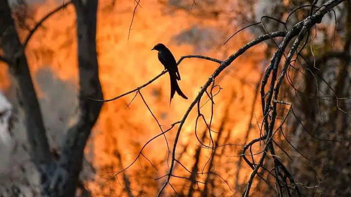 Don’t Underestimate Yourself