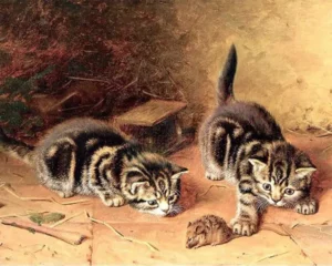 Why People Do Things?