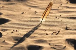 Hearts Like Feathers