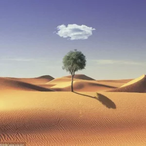 Opportunities Don’t Wait