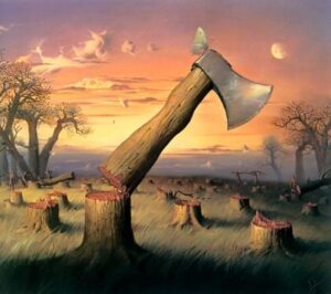 The Root Of The Problem