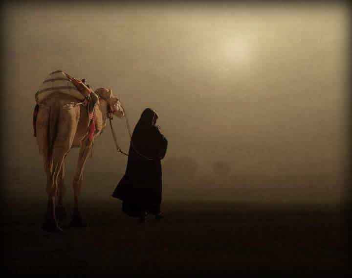 Fornication Is A Loan