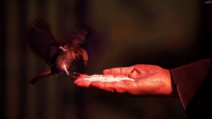 Sustenance is Written