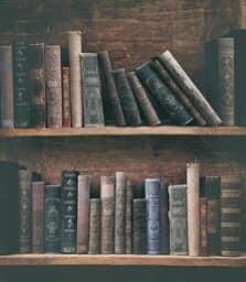 Loyalties & Disavowal