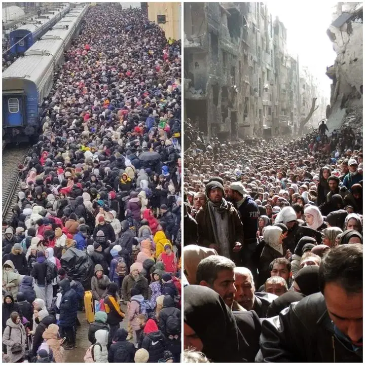 Refugees Syria & Ukraine