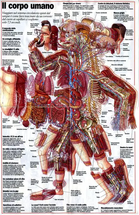 Atheism Is Illogical