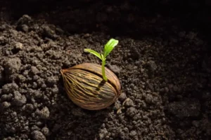 Don’t Underestimate Yourself