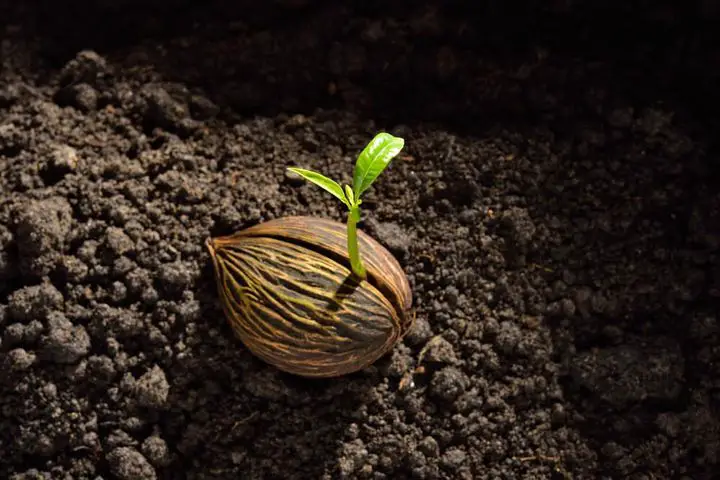 Don’t Underestimate Yourself