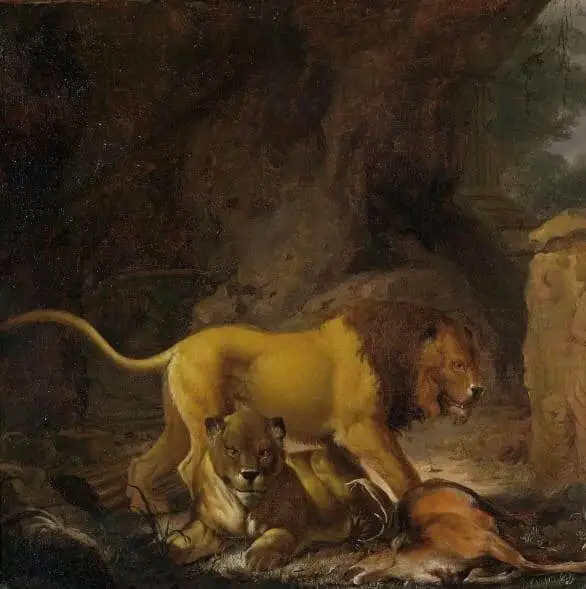 Lion And Gazelle