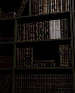 𝗜𝘀𝗹𝗮𝗺 𝗖𝗼𝗻𝗱𝗲𝗺𝗻𝘀 𝘁𝗵𝗲 𝗕𝗼𝗻𝗱𝗶 𝗕𝗲𝗮𝗰𝗵 𝗧𝗲𝗿𝗿𝗼𝗿 𝗔𝘁𝘁𝗮𝗰𝗸