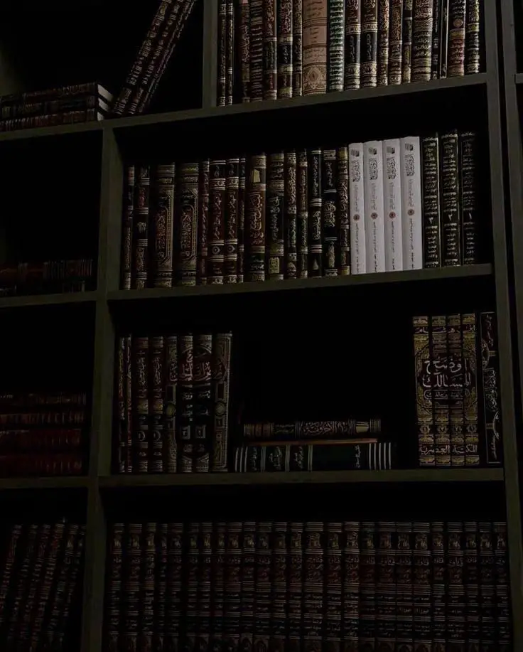 𝗜𝘀𝗹𝗮𝗺 𝗖𝗼𝗻𝗱𝗲𝗺𝗻𝘀 𝘁𝗵𝗲 𝗕𝗼𝗻𝗱𝗶 𝗕𝗲𝗮𝗰𝗵 𝗧𝗲𝗿𝗿𝗼𝗿 𝗔𝘁𝘁𝗮𝗰𝗸